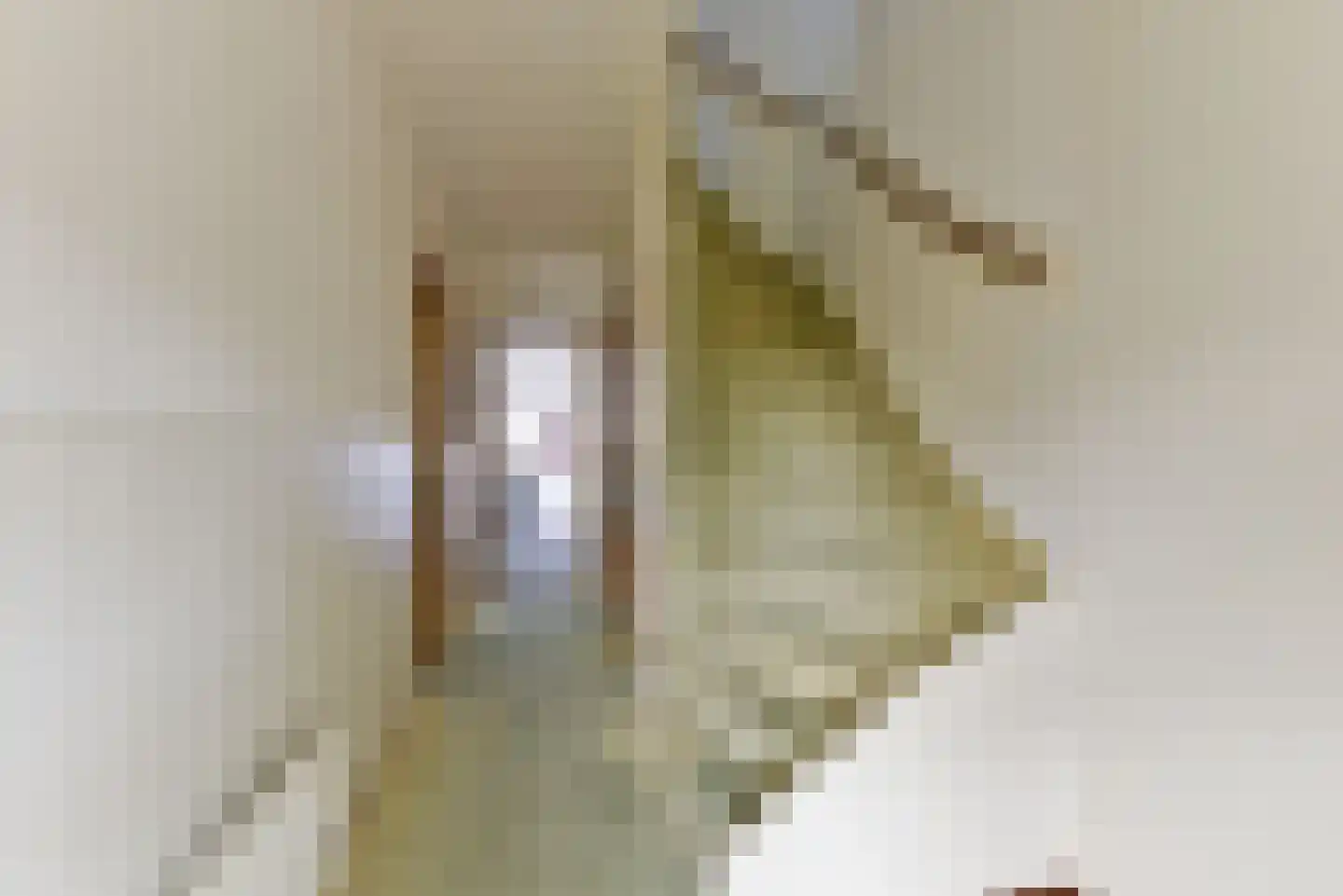 Wethouder Hollaan 26 Odijk thumbnail 5