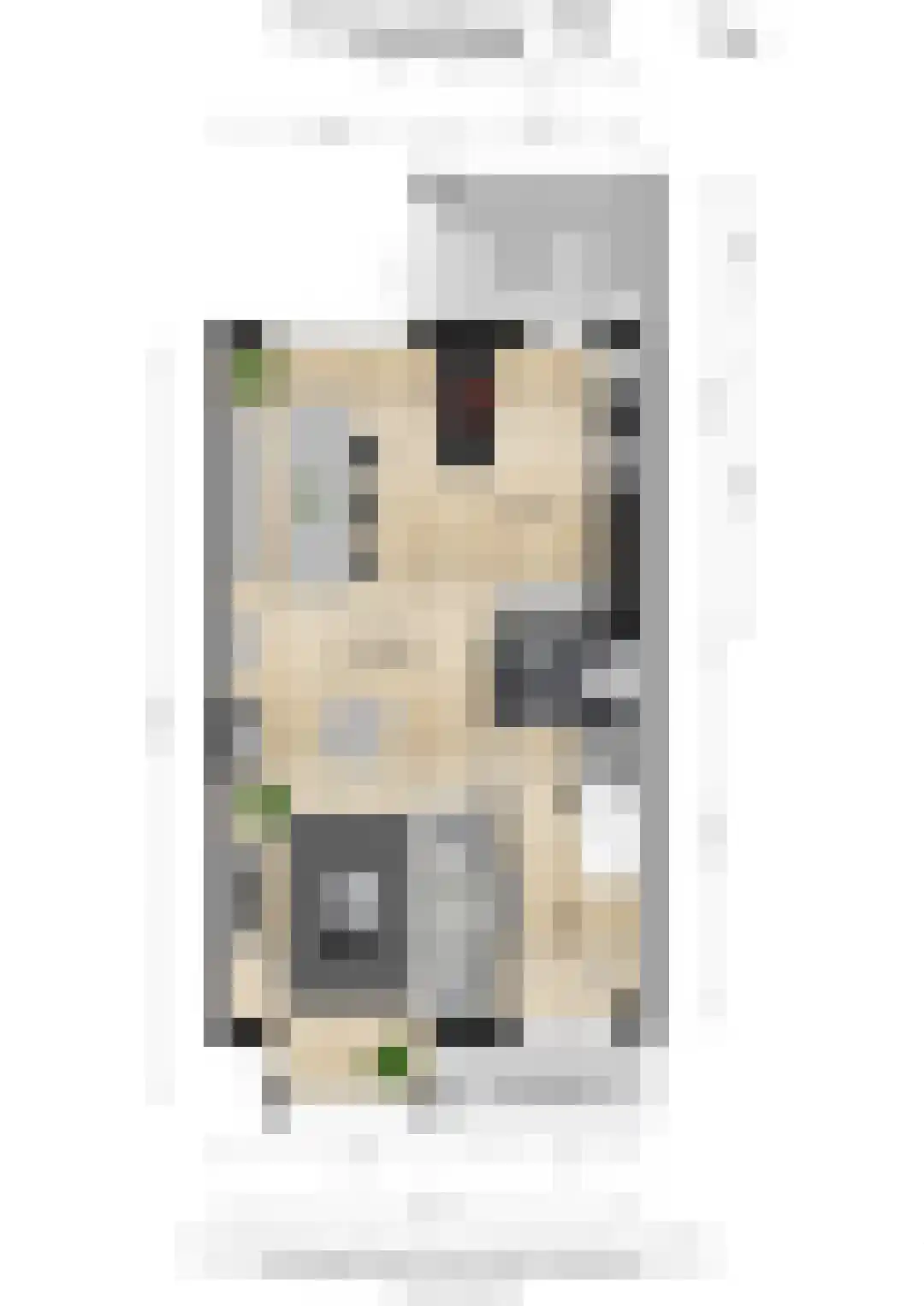 Wethouder Hollaan 26 Odijk thumbnail 50