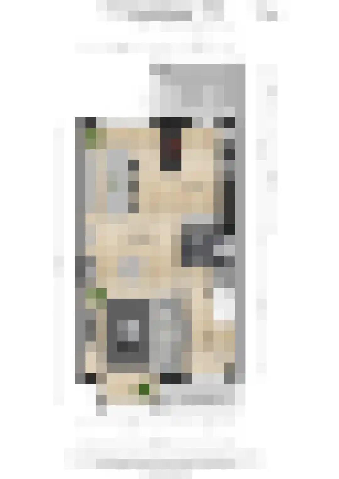Wethouder Hollaan 26 Odijk thumbnail 59