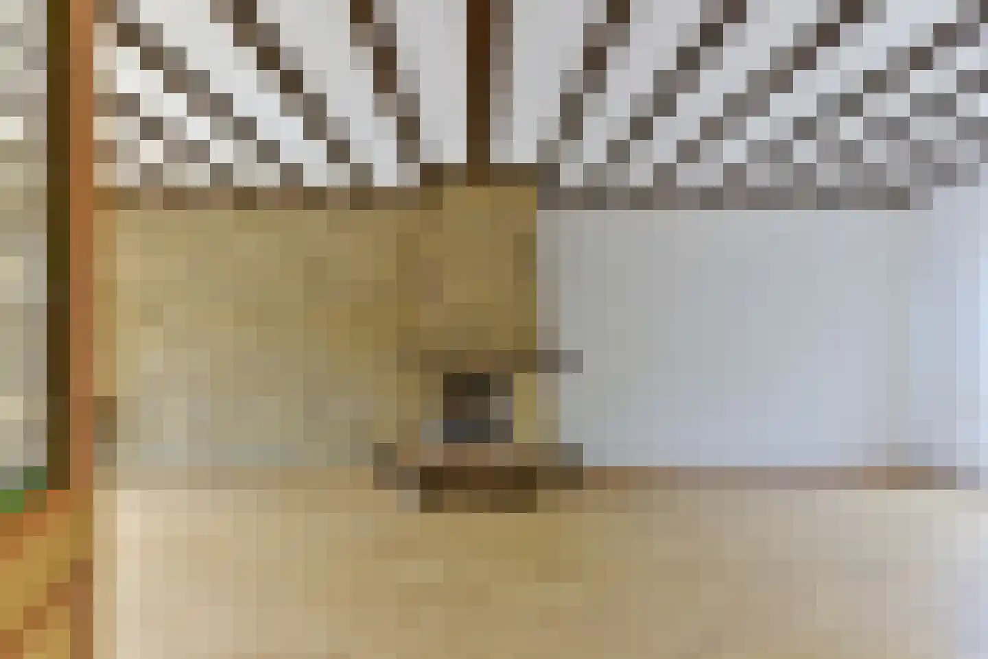 Wethouder Hollaan 26 Odijk thumbnail 6