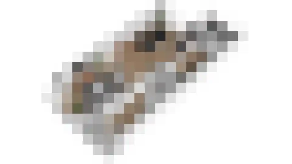 Wethouder Hollaan 26 Odijk thumbnail 62