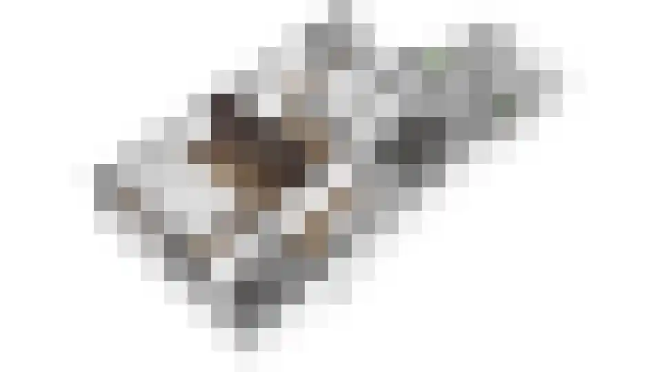 Wethouder Hollaan 26 Odijk thumbnail 64