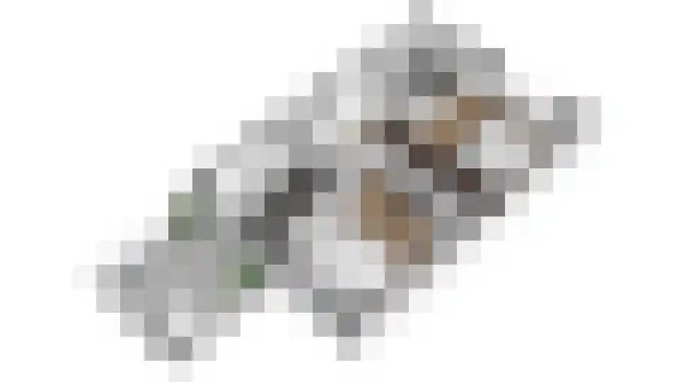Wethouder Hollaan 26 Odijk thumbnail 65