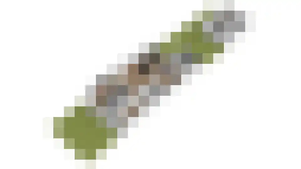 Wethouder Hollaan 26 Odijk thumbnail 67