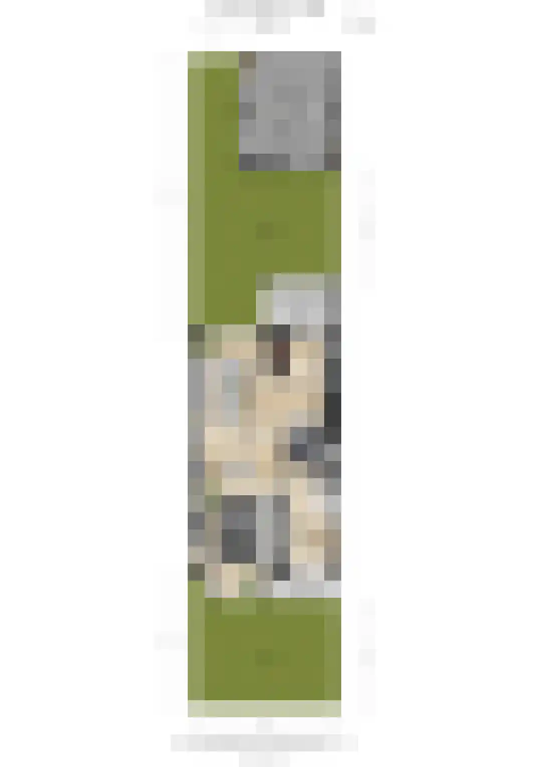 Wethouder Hollaan 26 Odijk thumbnail 69
