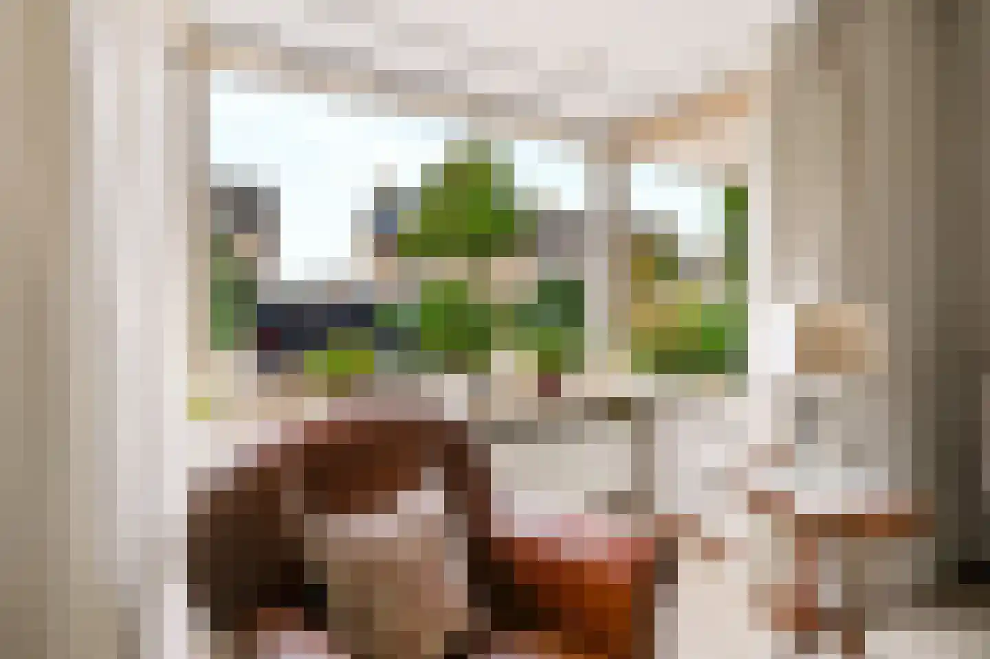 Wethouder Hollaan 28 Odijk thumbnail 11