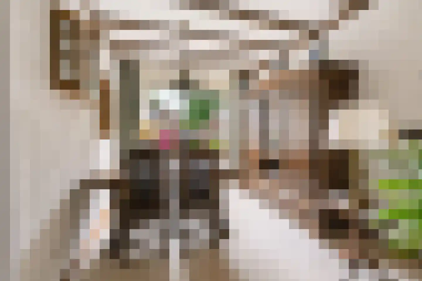 Wethouder Hollaan 28 Odijk thumbnail 12