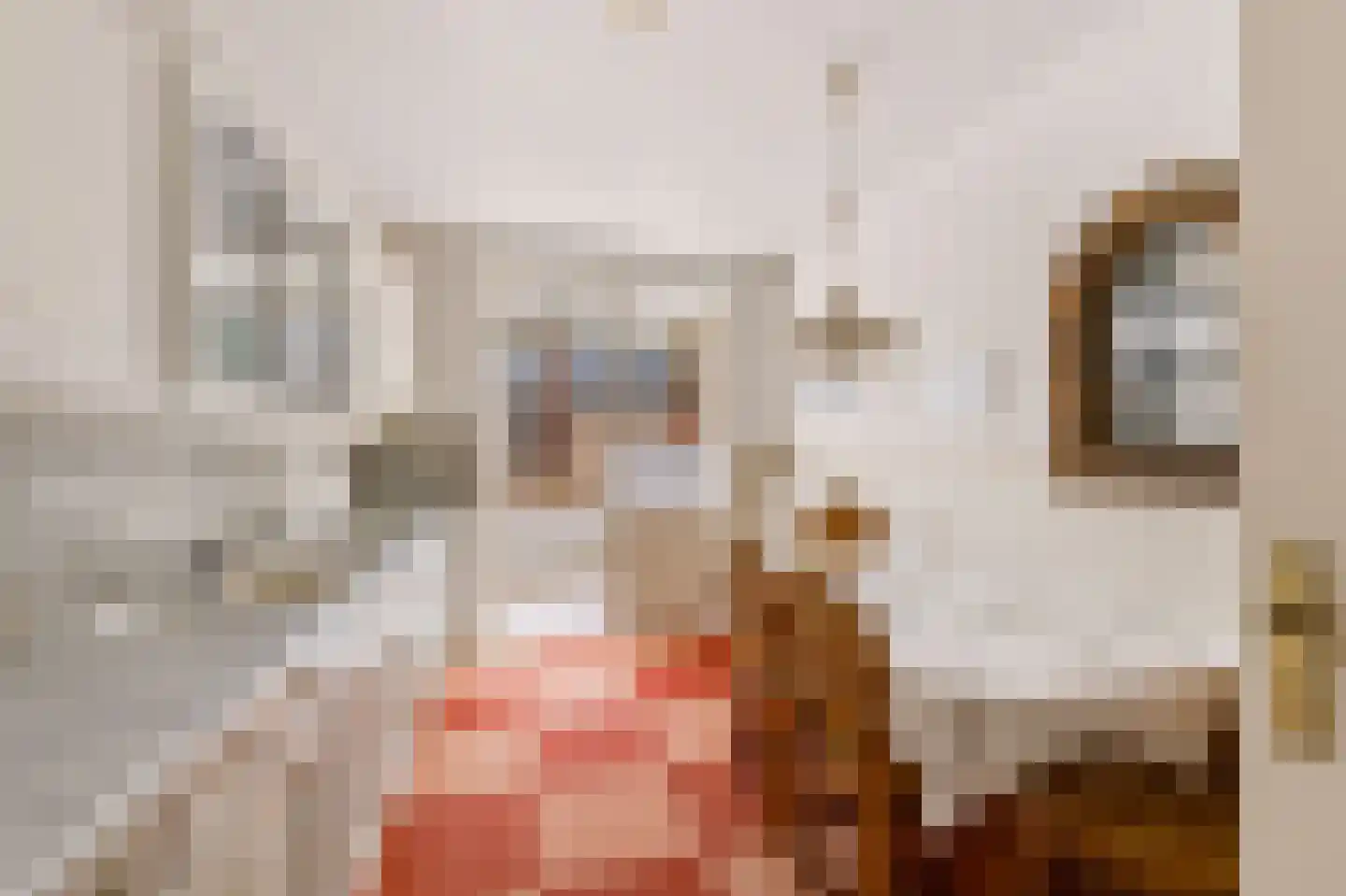 Wethouder Hollaan 28 Odijk thumbnail 14