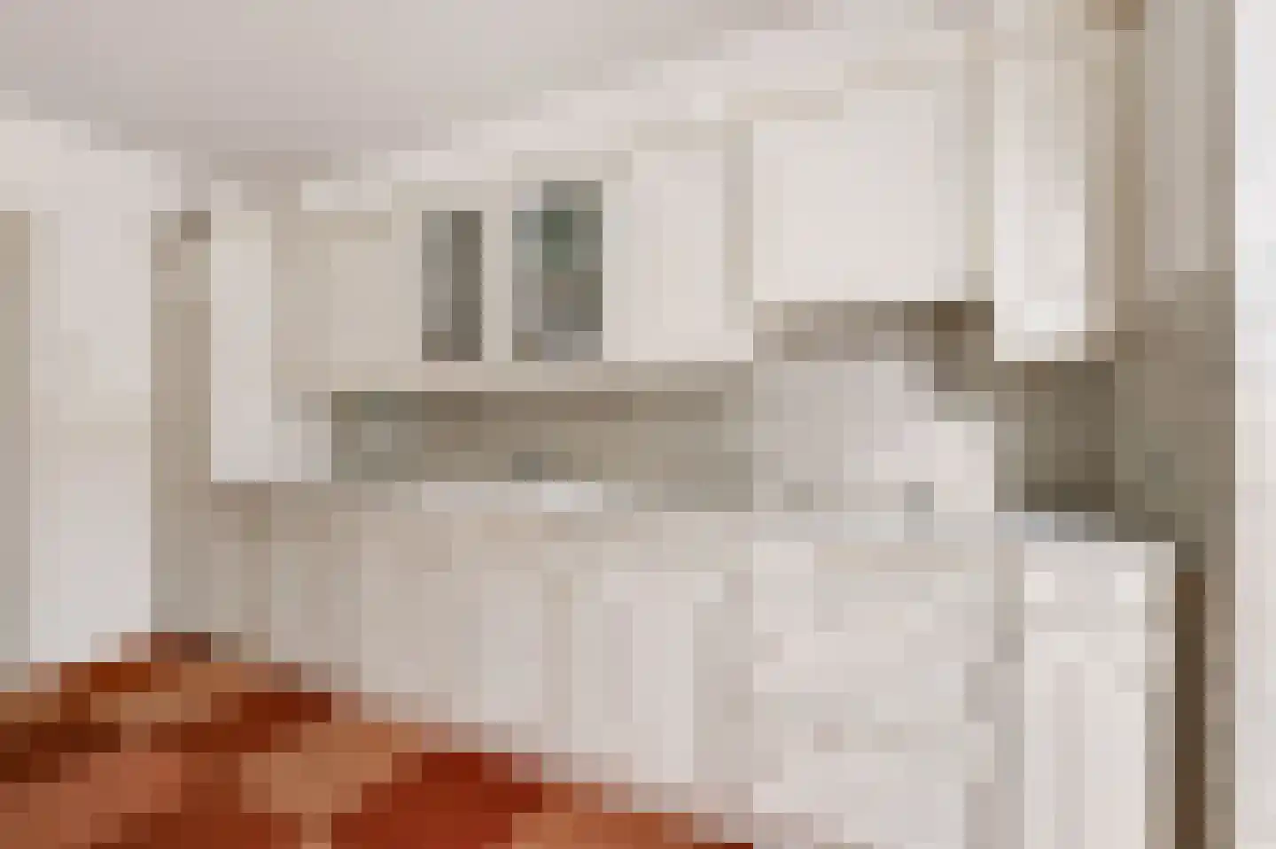 Wethouder Hollaan 28 Odijk thumbnail 15