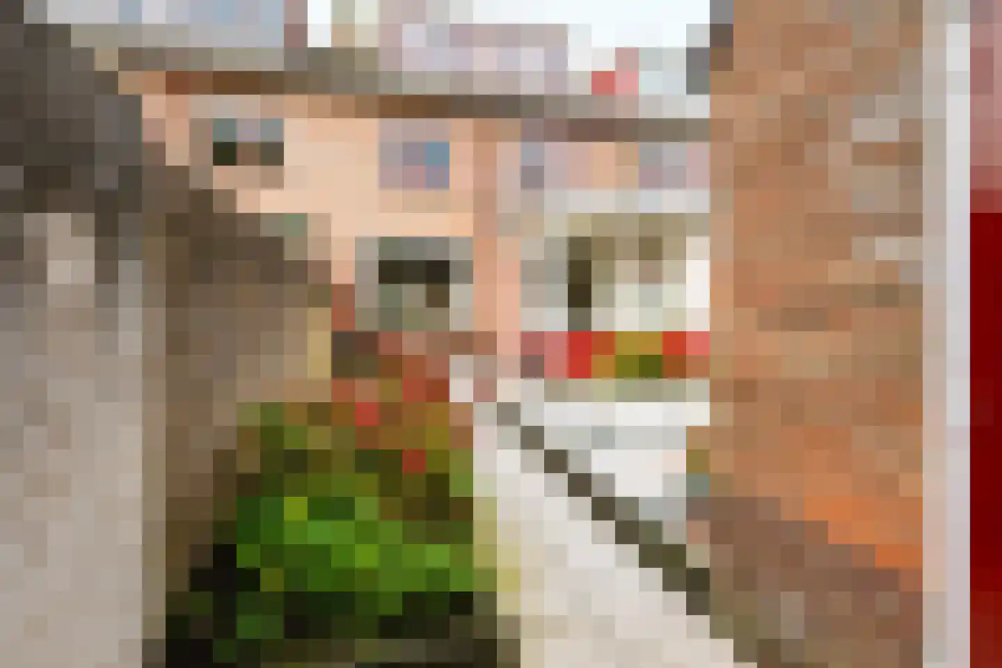 Wethouder Hollaan 28 Odijk thumbnail 18