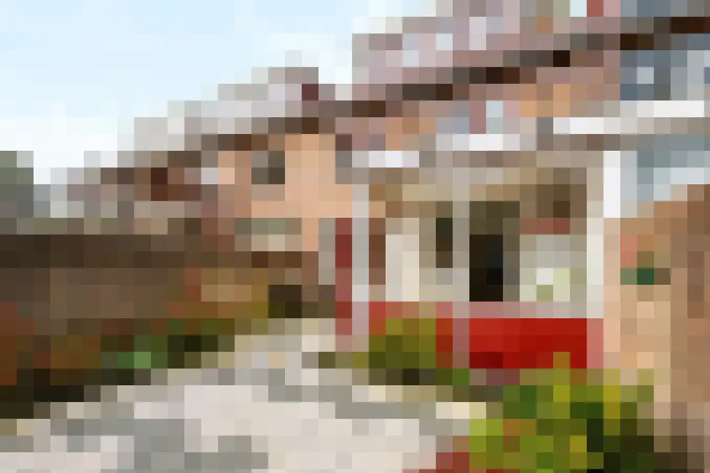 Wethouder Hollaan 28 Odijk thumbnail 19