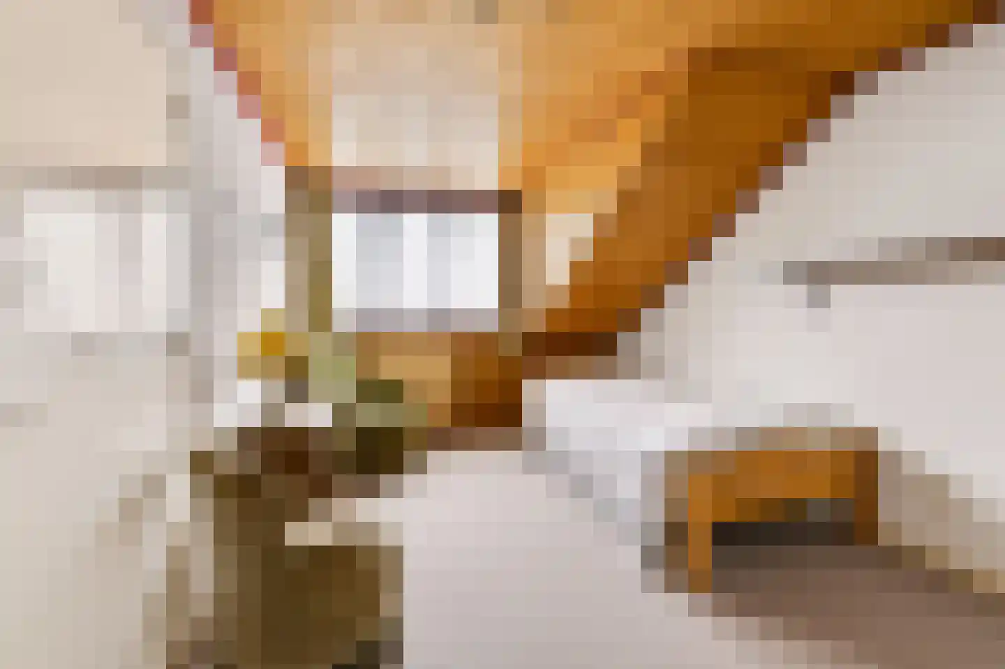 Wethouder Hollaan 28 Odijk thumbnail 29