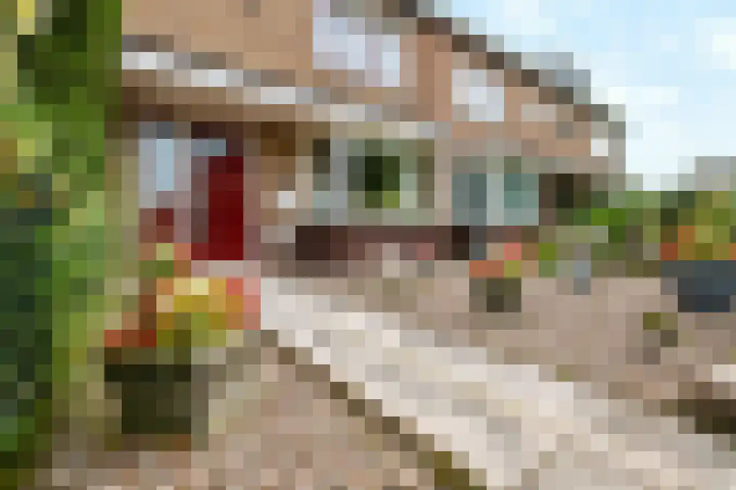 Wethouder Hollaan 28 Odijk thumbnail 30