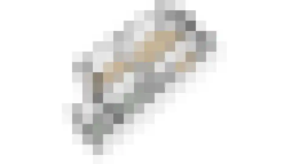 Wethouder Hollaan 28 Odijk thumbnail 33