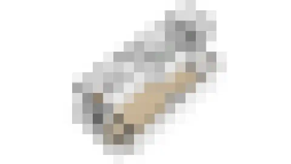 Wethouder Hollaan 28 Odijk thumbnail 34