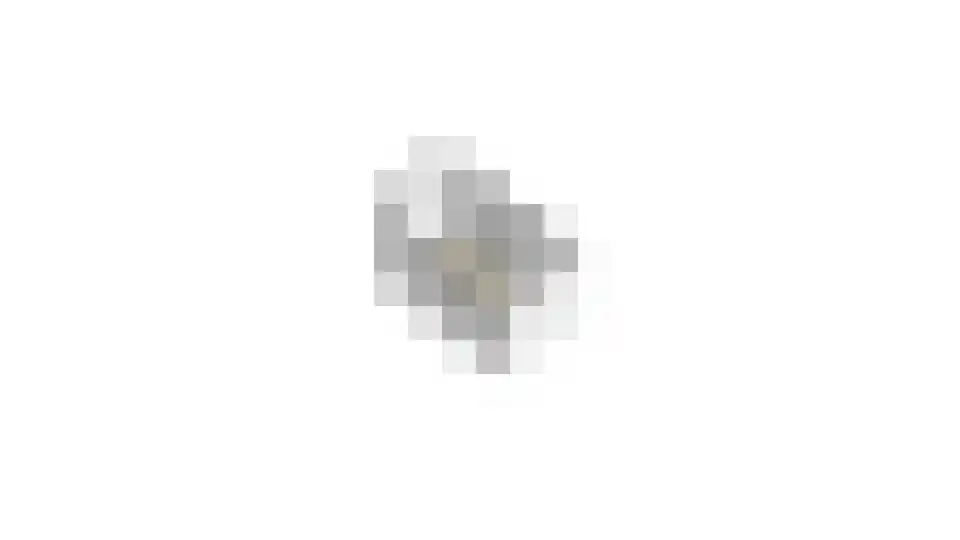Wethouder Hollaan 28 Odijk thumbnail 36
