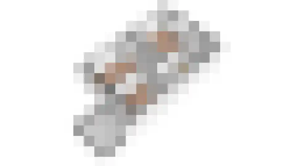 Wethouder Hollaan 28 Odijk thumbnail 39