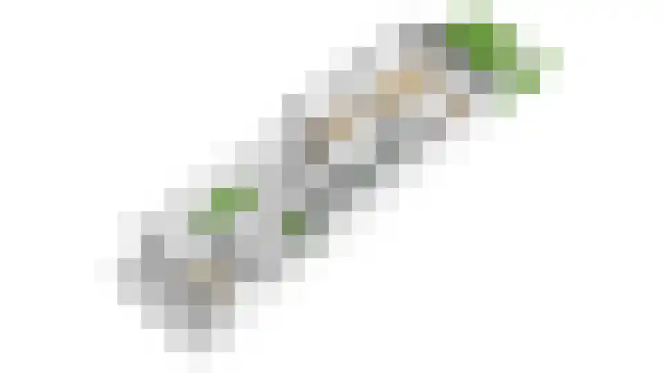 Wethouder Hollaan 28 Odijk thumbnail 42