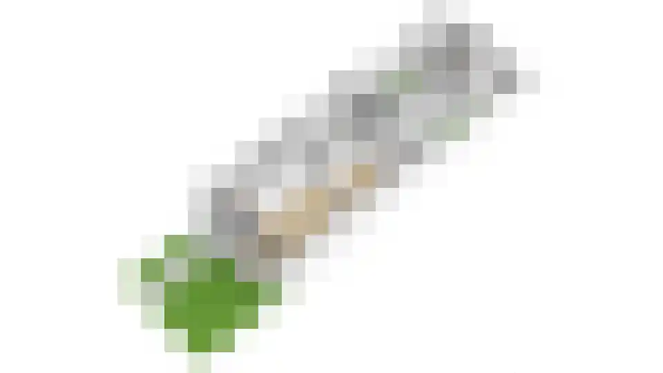 Wethouder Hollaan 28 Odijk thumbnail 43