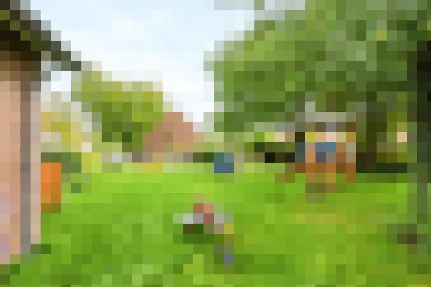 Wethouder Hollaan 28 Odijk thumbnail 5