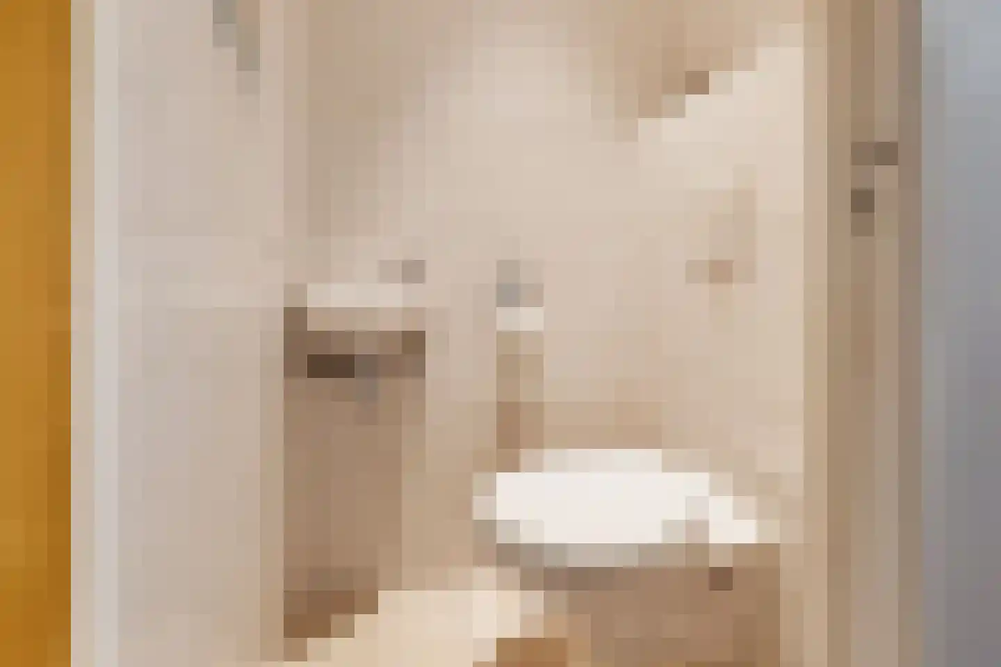 Wethouder Hollaan 28 Odijk thumbnail 7