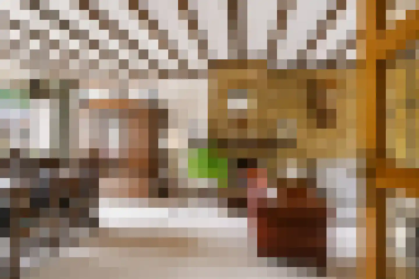Wethouder Hollaan 28 Odijk thumbnail 8