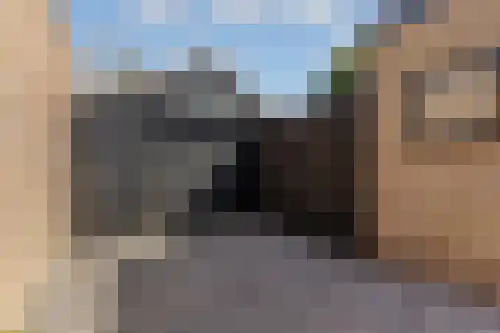 Wethouder Hollaan 8 Odijk thumbnail 11