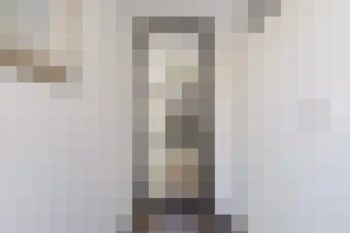 Wethouder Hollaan 8 Odijk thumbnail 14
