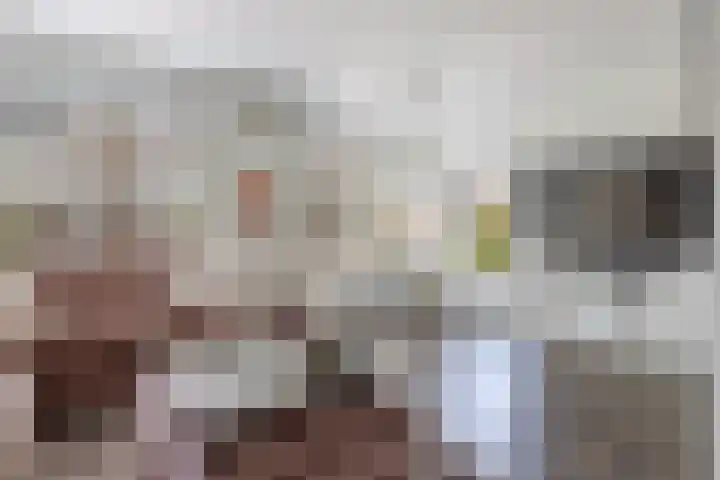 Wethouder Hollaan 8 Odijk thumbnail 17