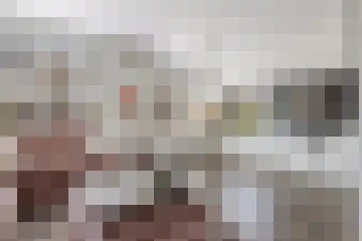 Wethouder Hollaan 8 Odijk thumbnail 19