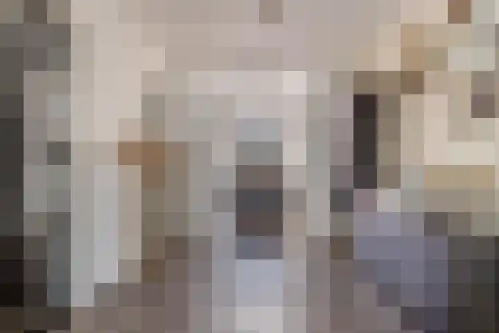 Wethouder Hollaan 8 Odijk thumbnail 21