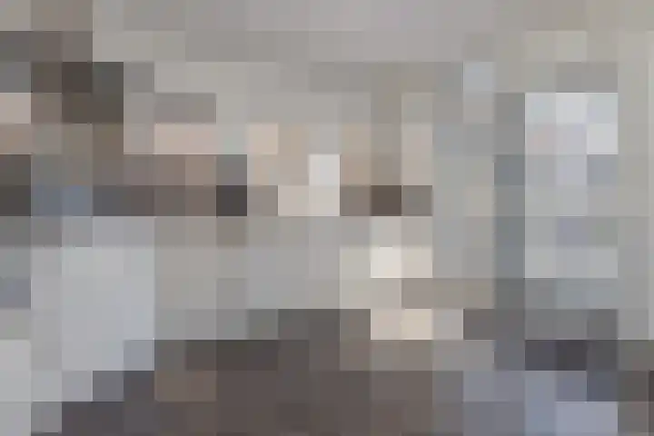 Wethouder Hollaan 8 Odijk thumbnail 25