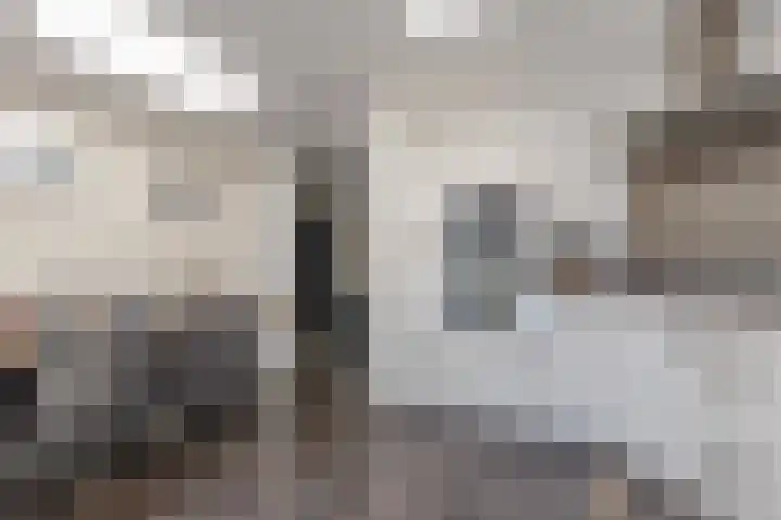 Wethouder Hollaan 8 Odijk thumbnail 26