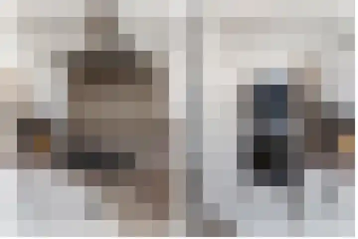 Wethouder Hollaan 8 Odijk thumbnail 28