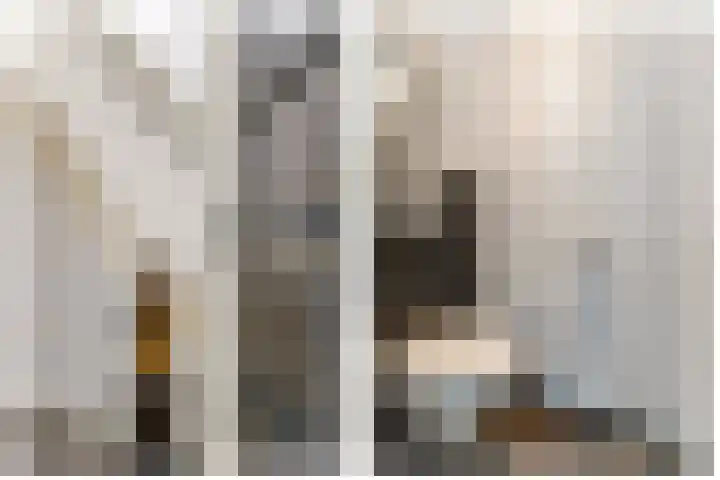 Wethouder Hollaan 8 Odijk thumbnail 30