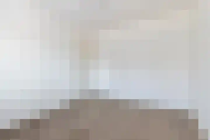 Wethouder Hollaan 8 Odijk thumbnail 32