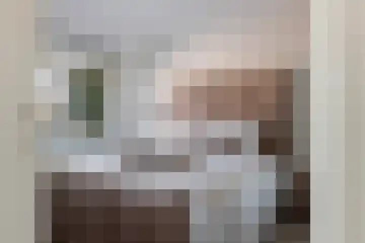 Wethouder Hollaan 8 Odijk thumbnail 33