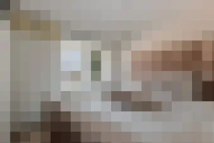 Wethouder Hollaan 8 Odijk thumbnail 34