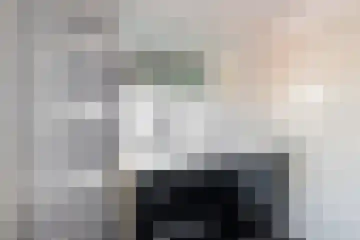 Wethouder Hollaan 8 Odijk thumbnail 38