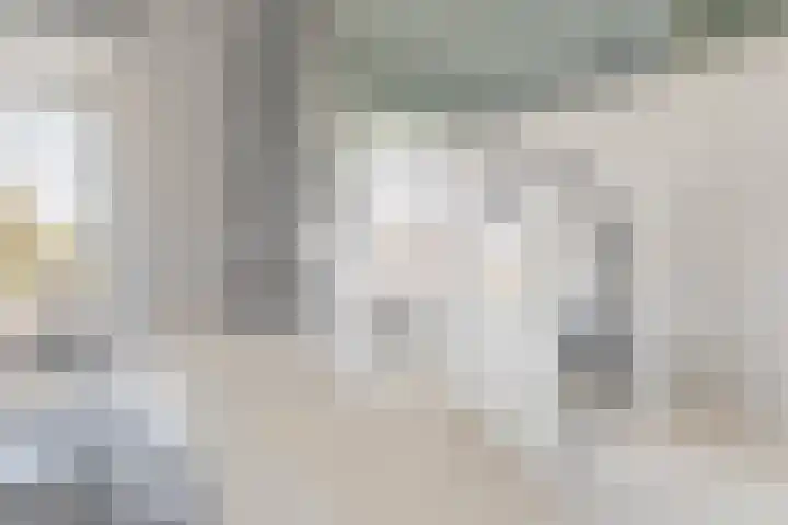 Wethouder Hollaan 8 Odijk thumbnail 39
