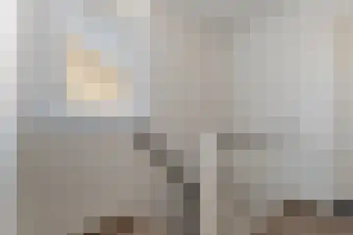 Wethouder Hollaan 8 Odijk thumbnail 42