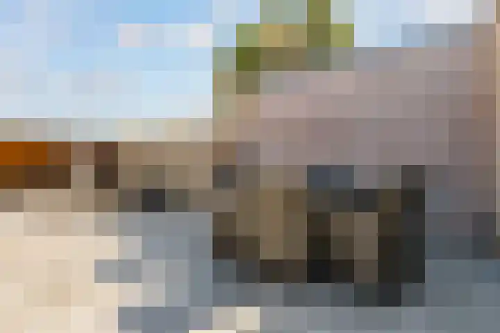 Wethouder Hollaan 8 Odijk thumbnail 44