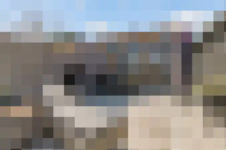 Wethouder Hollaan 8 Odijk thumbnail 45