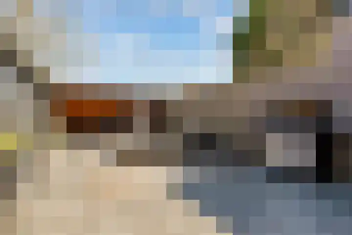 Wethouder Hollaan 8 Odijk thumbnail 48