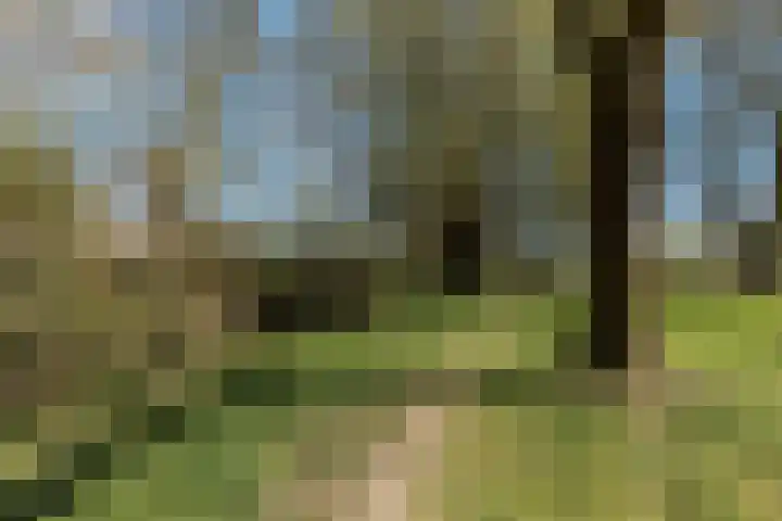 Wethouder Hollaan 8 Odijk thumbnail 5