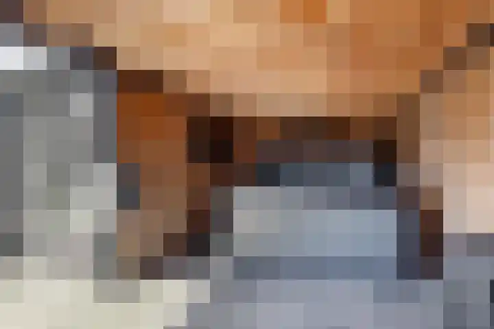 Wethouder Hollaan 8 Odijk thumbnail 50