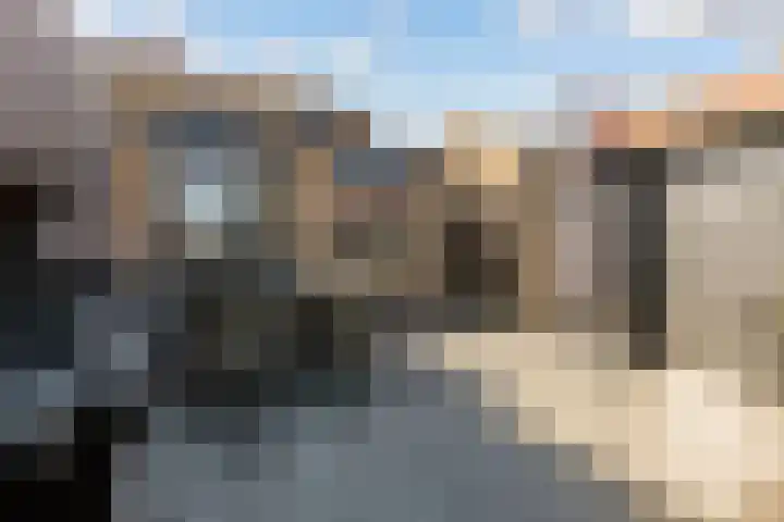 Wethouder Hollaan 8 Odijk thumbnail 54