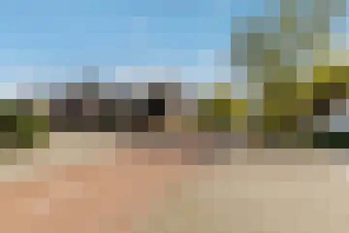 Wethouder Hollaan 8 Odijk thumbnail 55