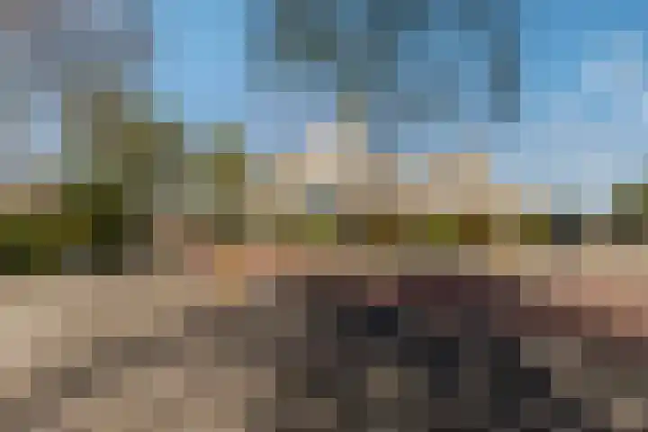 Wethouder Hollaan 8 Odijk thumbnail 56