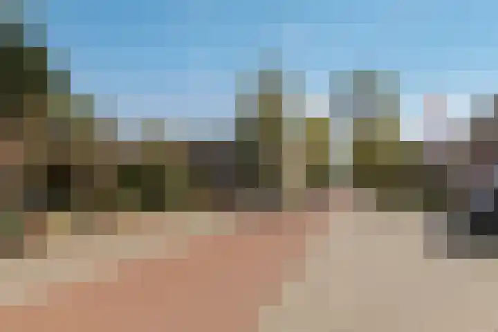 Wethouder Hollaan 8 Odijk thumbnail 58